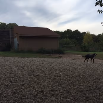 Dog Park at Staring Lake Park